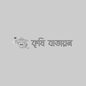 বারি মটর-১