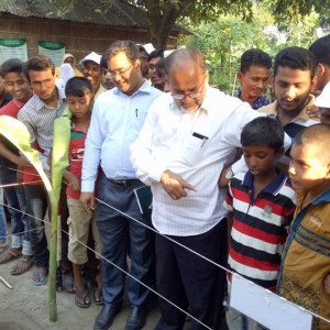 মাঠ দিবস